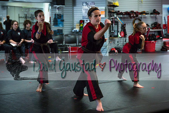 Midwest Professional Karate Black Belt Test 2016