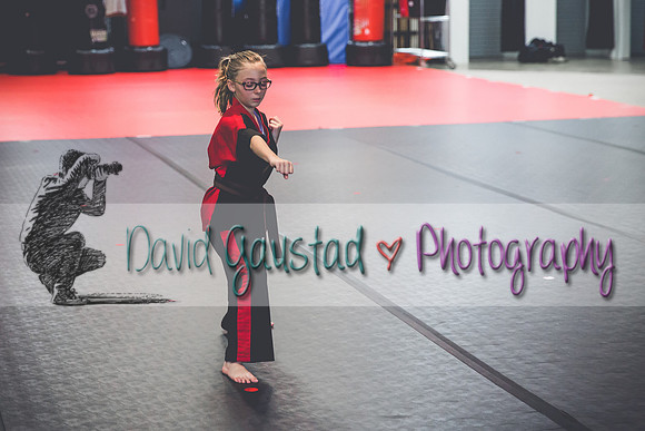 Midwest Professional Karate Black Belt Test 2016