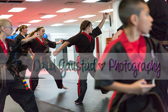 Midwest Professional Karate Black Belt Test 2016