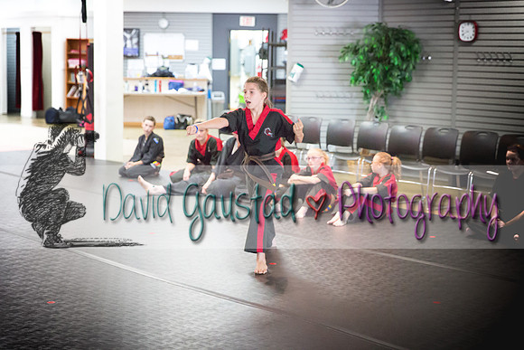 Midwest Professional Karate Black Belt Test 2016