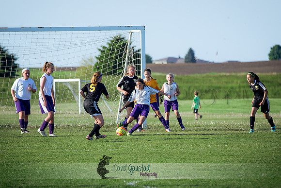 DeForest Norski soccer vs Rock on 5/21/2016
