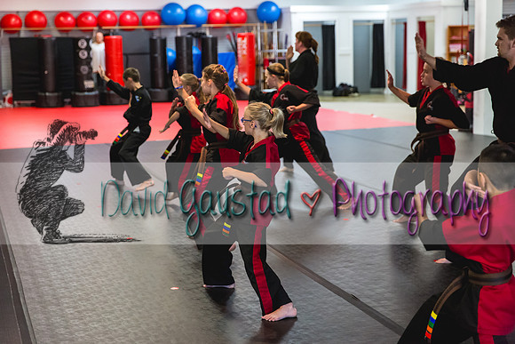 Midwest Professional Karate Black Belt Test 2016