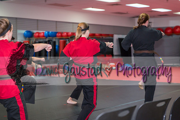 Midwest Professional Karate Black Belt Test 2016