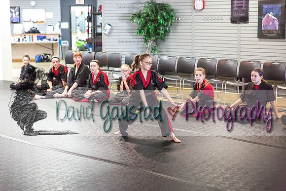 Midwest Professional Karate Black Belt Test 2016