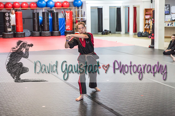 Midwest Professional Karate Black Belt Test 2016