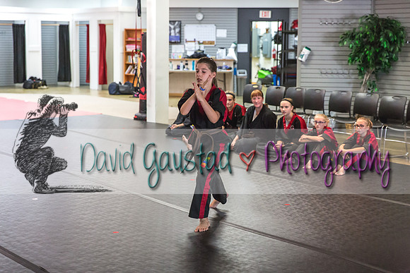 Midwest Professional Karate Black Belt Test 2016