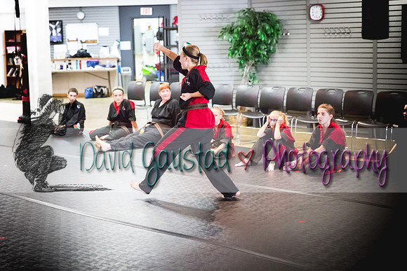 Midwest Professional Karate Black Belt Test 2016