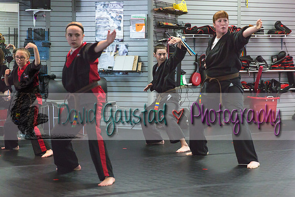 Midwest Professional Karate Black Belt Test 2016