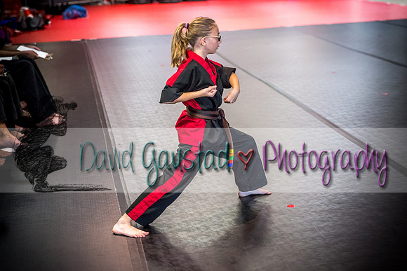 Midwest Professional Karate Black Belt Test 2016