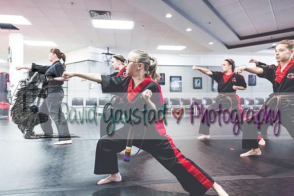 Midwest Professional Karate Black Belt Test 2016