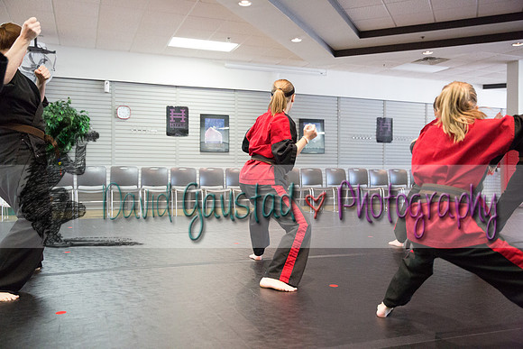 Midwest Professional Karate Black Belt Test 2016
