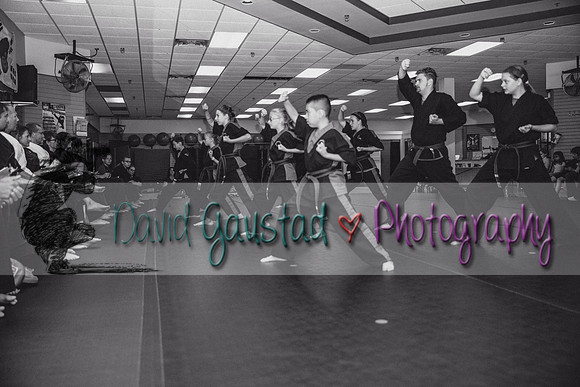 Midwest Professional Karate Black Belt Test 2016