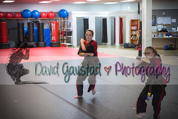 Midwest Professional Karate Black Belt Test 2016