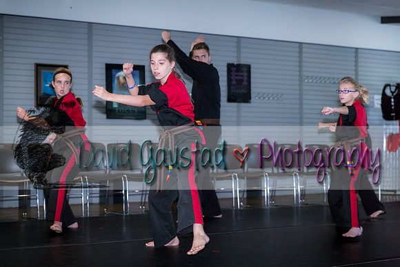 Midwest Professional Karate Black Belt Test 2016