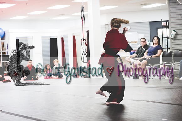 Midwest Professional Karate Black Belt Test 2016