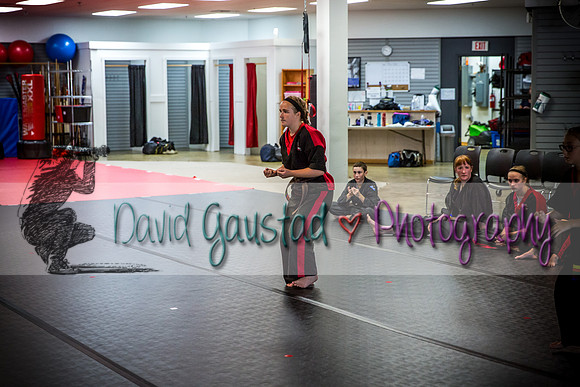 Midwest Professional Karate Black Belt Test 2016