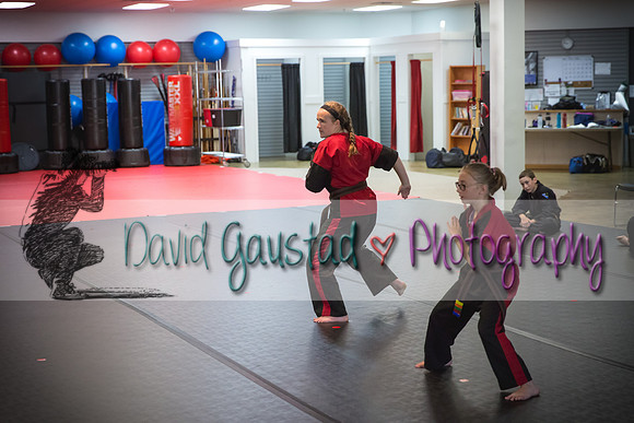 Midwest Professional Karate Black Belt Test 2016