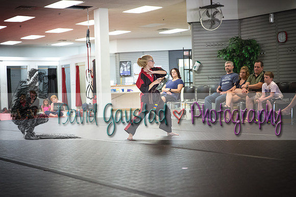 Midwest Professional Karate Black Belt Test 2016