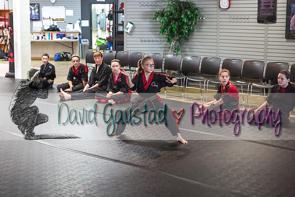 Midwest Professional Karate Black Belt Test 2016