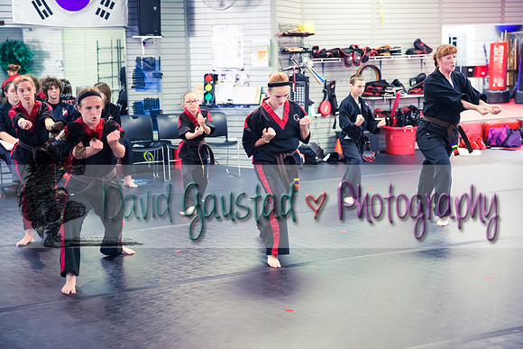 Midwest Professional Karate Black Belt Test 2016