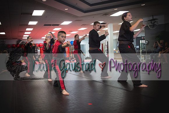 Midwest Professional Karate Black Belt Test 2016