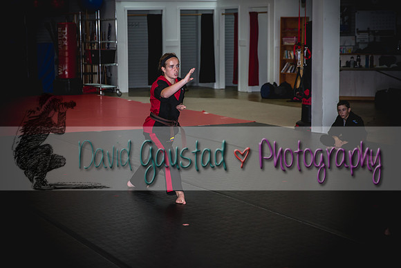 Midwest Professional Karate Black Belt Test 2016