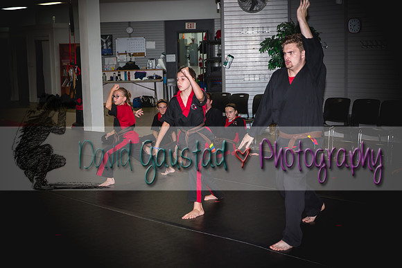 Midwest Professional Karate Black Belt Test 2016