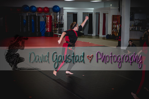 Midwest Professional Karate Black Belt Test 2016