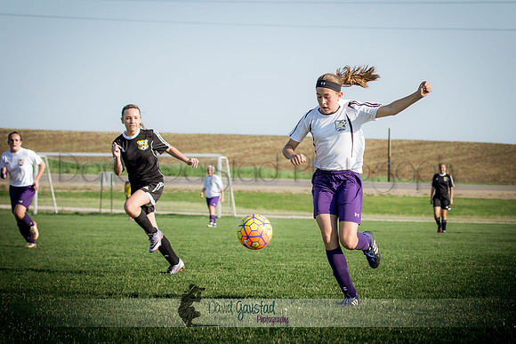 DeForest Norski soccer vs Rock on 5/21/2016