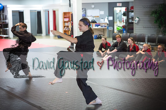 Midwest Professional Karate Black Belt Test 2016