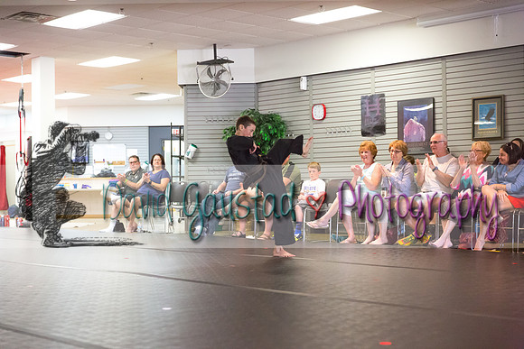 Midwest Professional Karate Black Belt Test 2016