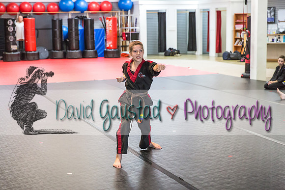 Midwest Professional Karate Black Belt Test 2016