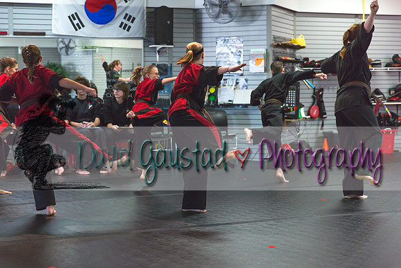 Midwest Professional Karate Black Belt Test 2016