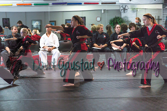 Midwest Professional Karate Black Belt Test 2016