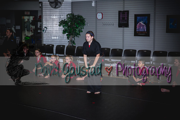 Midwest Professional Karate Black Belt Test 2016