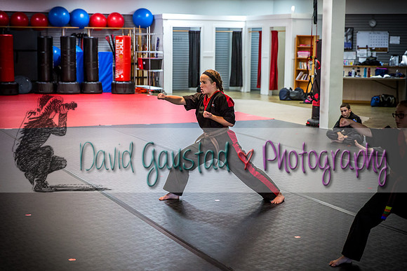 Midwest Professional Karate Black Belt Test 2016