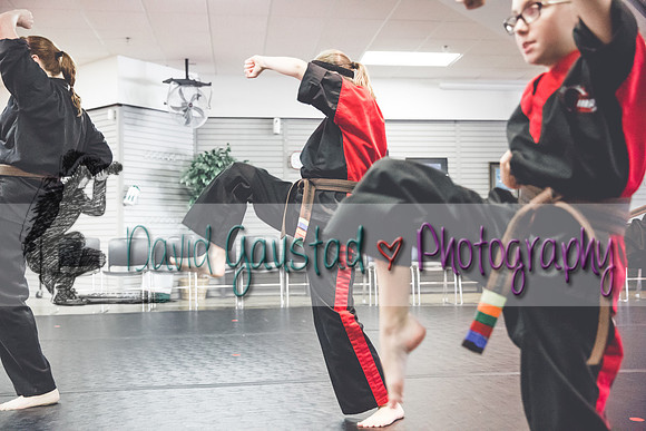 Midwest Professional Karate Black Belt Test 2016