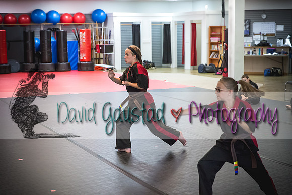 Midwest Professional Karate Black Belt Test 2016