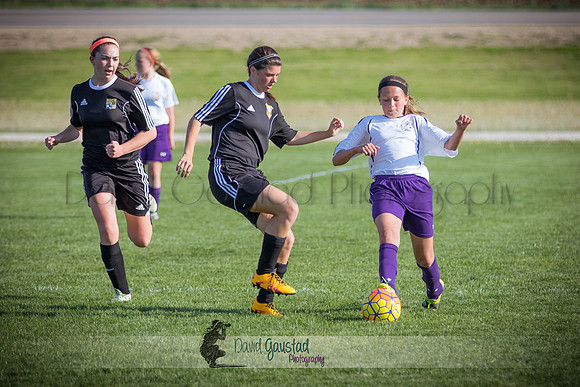DeForest Norski soccer vs Rock on 5/21/2016