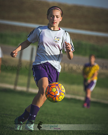 DeForest Norski soccer vs Rock on 5/21/2016