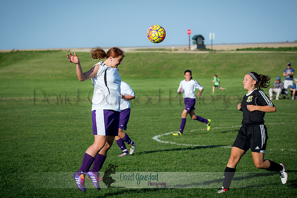DeForest Norski soccer vs Rock on 5/21/2016