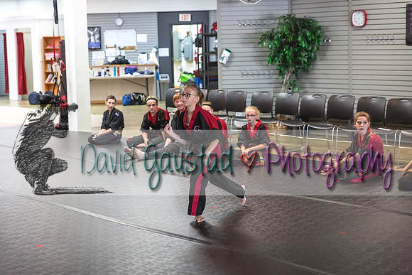 Midwest Professional Karate Black Belt Test 2016