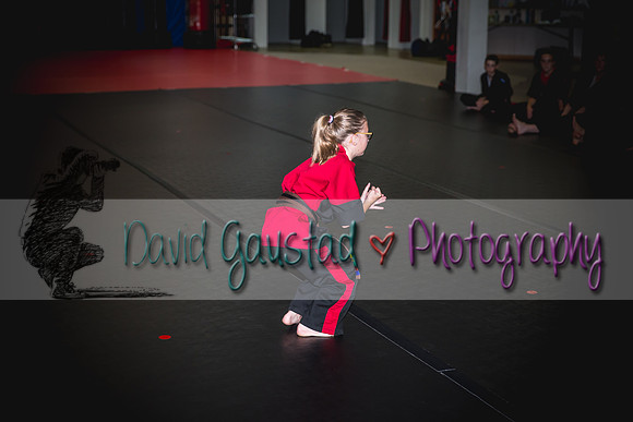 Midwest Professional Karate Black Belt Test 2016