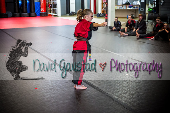 Midwest Professional Karate Black Belt Test 2016
