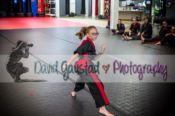 Midwest Professional Karate Black Belt Test 2016