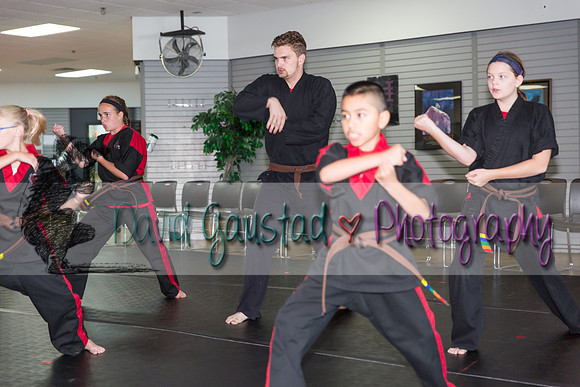 Midwest Professional Karate Black Belt Test 2016