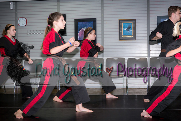 Midwest Professional Karate Black Belt Test 2016