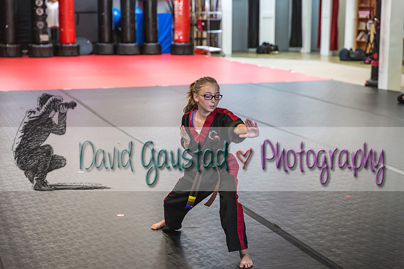 Midwest Professional Karate Black Belt Test 2016