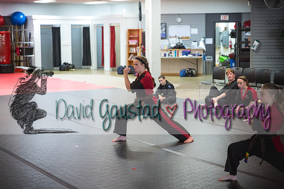 Midwest Professional Karate Black Belt Test 2016