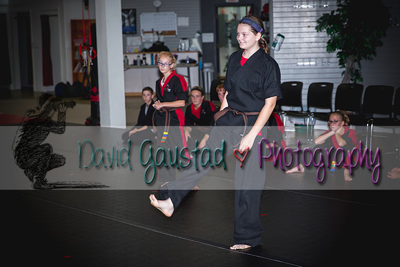 Midwest Professional Karate Black Belt Test 2016